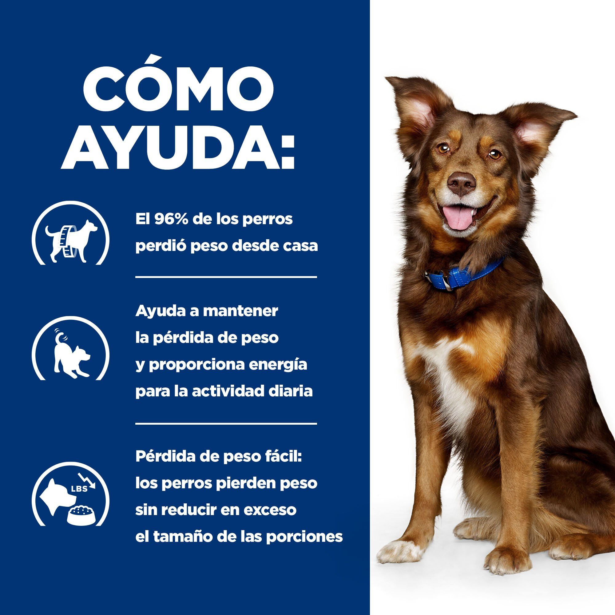 370 g Hill's Prescription Diet Metabolic Pollo lata para perros, , large indicador imagen numero 4