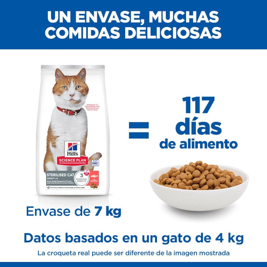 7 kg Hill's Science Plan Sterilised Adult Salm&oacute;n pienso para gatos, , large Imagen numero 6
