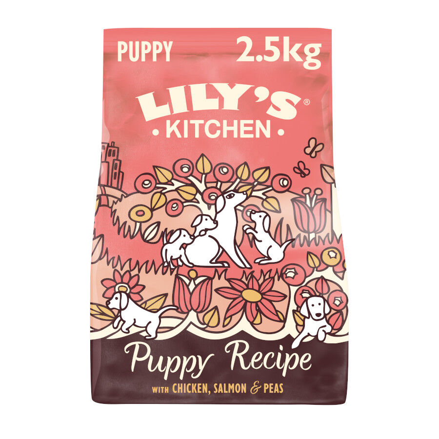 2.5 kg Lily's Kitchen Puppy Pollo y Salm&oacute;n pienso para perros, , large Imagen numero 1