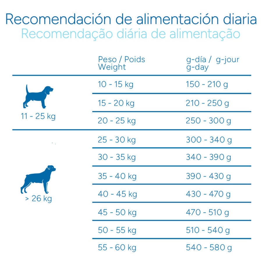 12 kg Criadores Cient&iacute;fico Senior Pienso para perros de razas medianas y grandes, , large indicador imagen numero 9