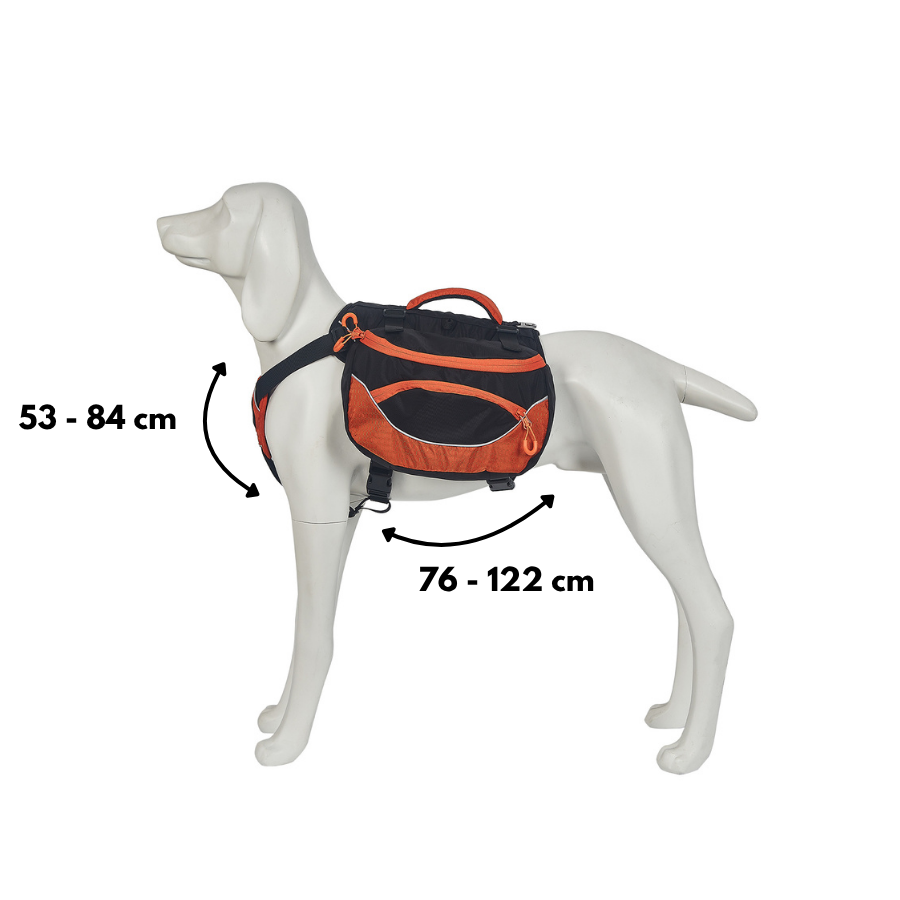 Outech X-perience Arn&eacute;s Multiusos para perros, , large indicador imagen numero 5