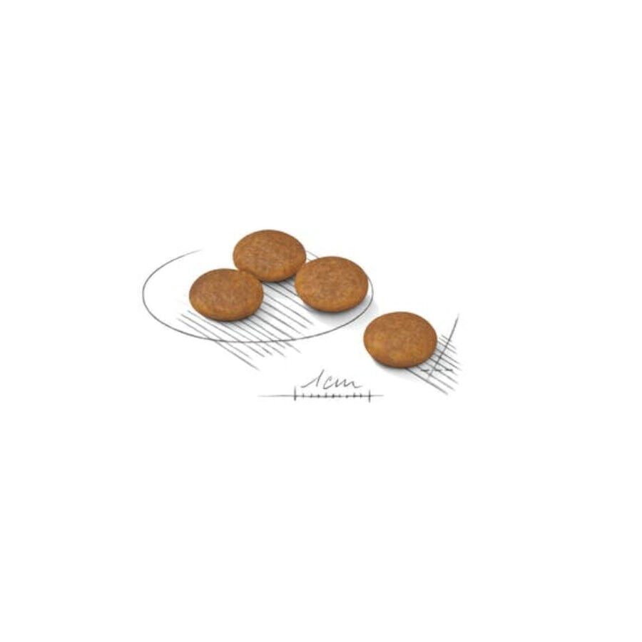 1.5 kg Royal Canin Light Weight Care X-Small pienso para perros, , large Imagen numero 2