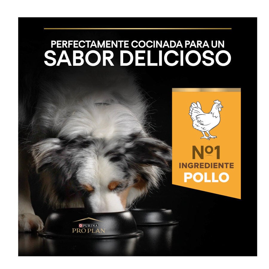 14 kg Pro Plan Adult Light/Sterilised Pollo pienso para perros, , large Imagen numero 8