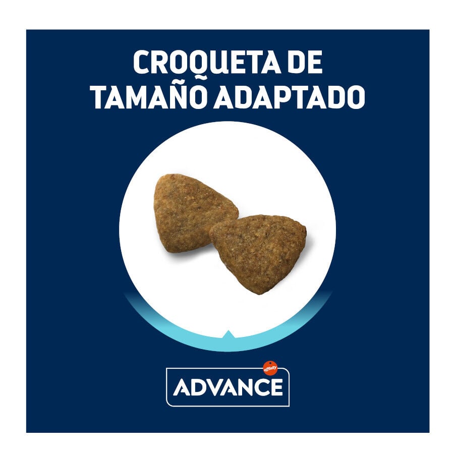 18 kg Advance Active Defense Medium Adult Pollo y Arroz pienso para perros, , large Imagen numero 3