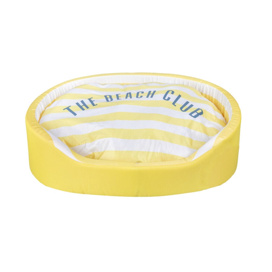 Summer Vibes Cama Refrescante Rayas Amarillo para perros, , large indicador imagen numero 2