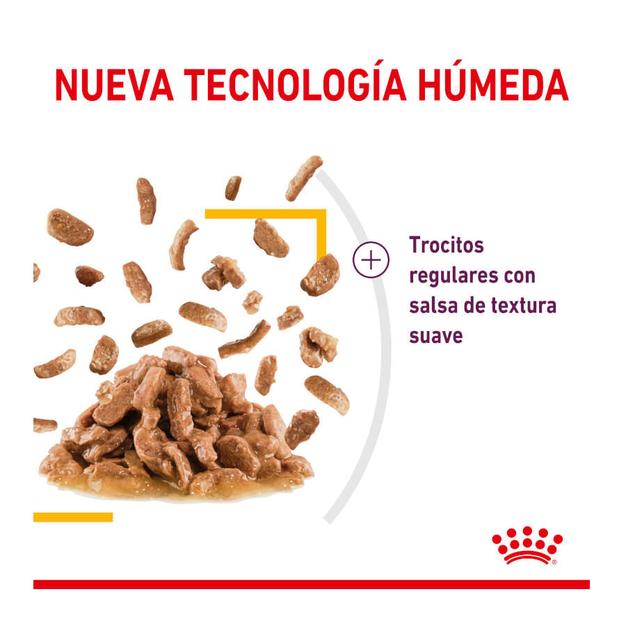 85 g Royal Canin Adult Sensory Taste salsa sobre para gatos, , large indicador imagen numero 3