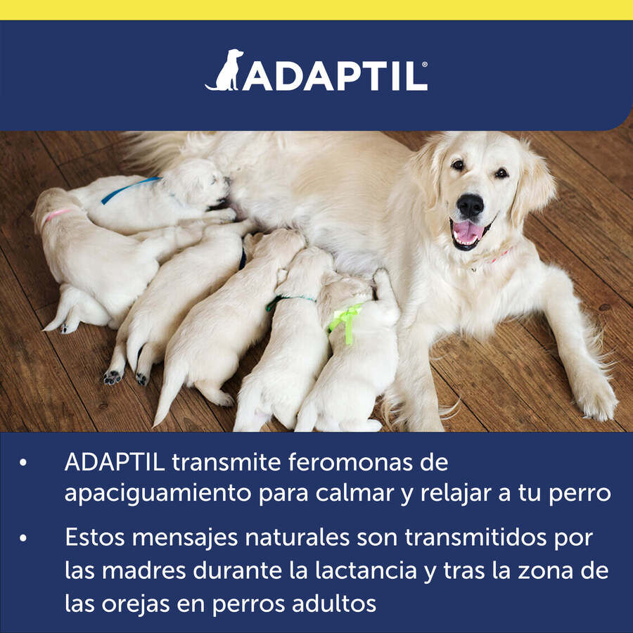 Adaptil Transport Spray Tranquilizante Viajes para perros, , large indicador imagen numero 9