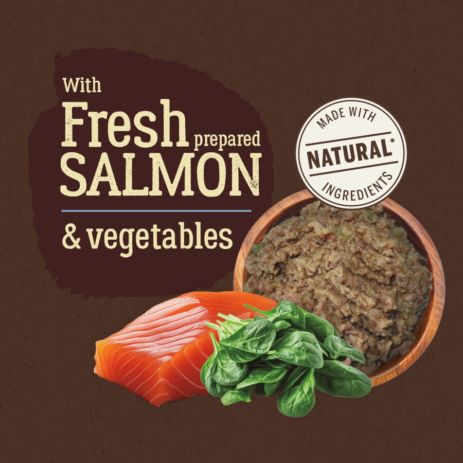 400 g True Origins Pure con Salm&oacute;n lata para cachorros, , large indicador imagen numero 3