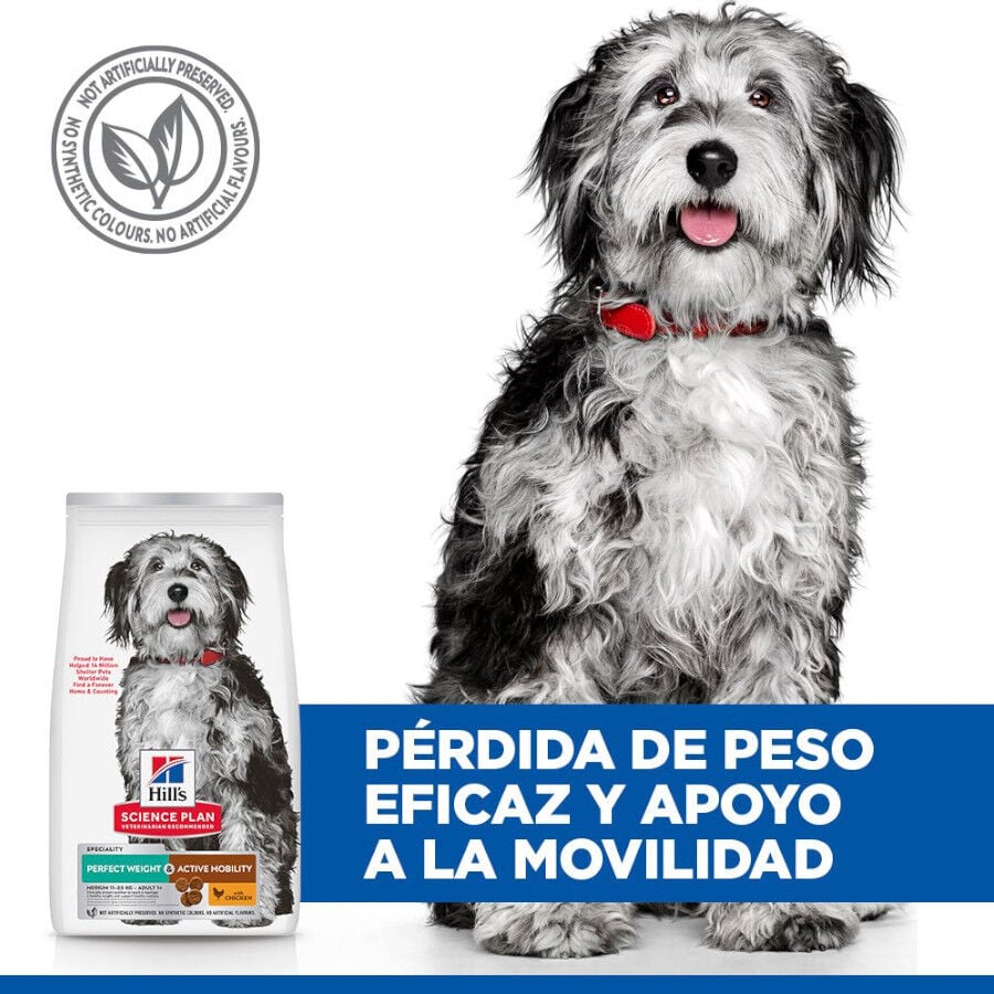12 kg Hill's Science Plan Perfect Weight y Active Mobility pollo pienso para perros medianos, , large indicador imagen numero 5