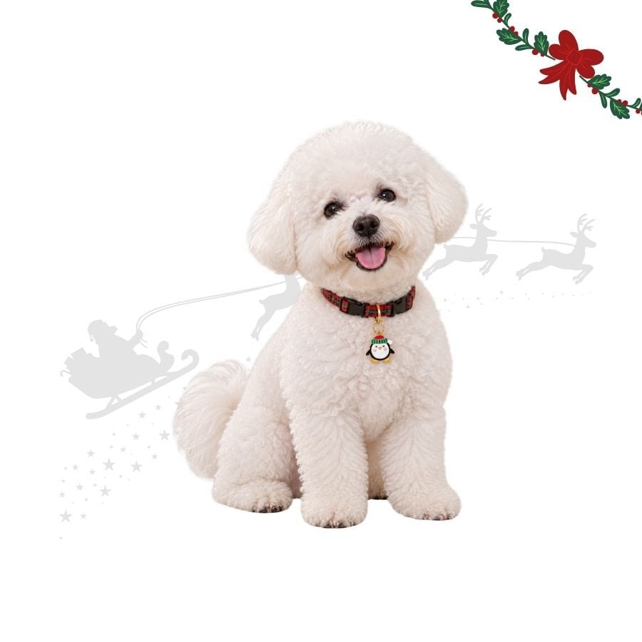Wonder Christmas Colgante Collar Ping&uuml;ino para perros, , large indicador imagen numero 1
