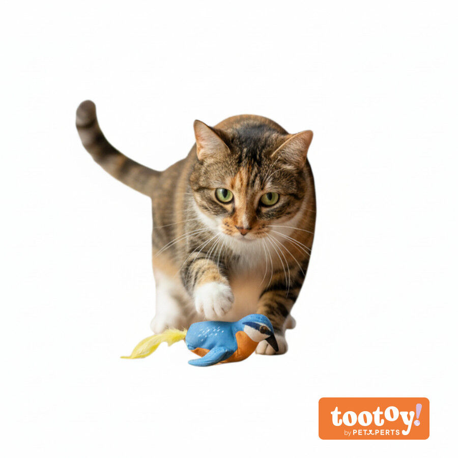 Tootoy! Peluche Interactivo de P&aacute;jaro para gatos
