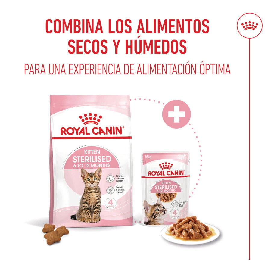 3.5 kg Royal Canin Kitten Sterilised pienso para gatos, , large indicador imagen numero 6