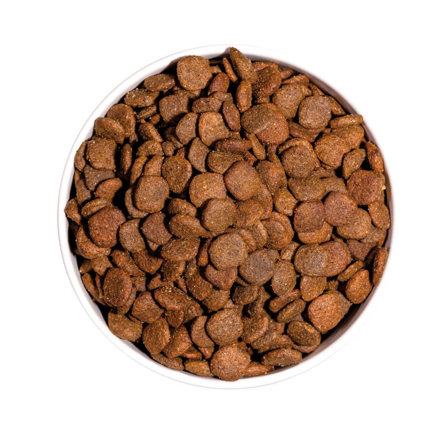 3 kg Ownat Mini Adult Ultra Pollo y Pavo pienso para perros, , large Imagen numero 2