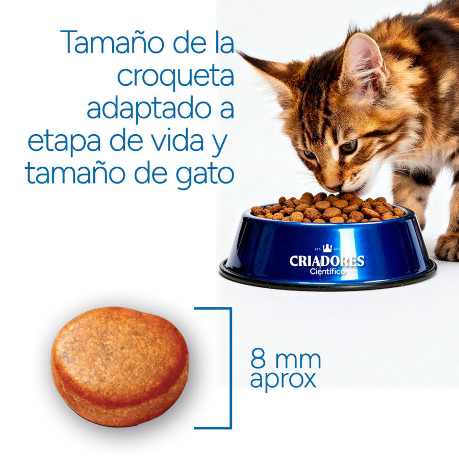 2 kg Criadores Cient&iacute;fico Adulto Esterilizado Pescado Blanco pienso para gatos, , large Imagen numero 7