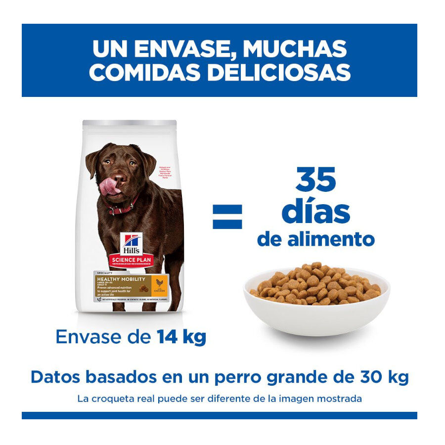 12 kg Hill's Science Plan Healthy Mobility Adult Large Pollo pienso para perros, , large indicador imagen numero 6