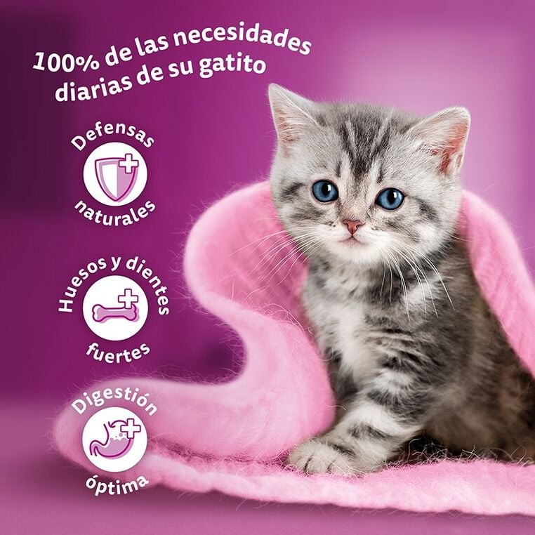 4 sobres x 85 g Whiskas Pure Delight Junior Selecci&oacute;n Aves Gelatina en Bolsita para gatos, , large indicador imagen numero 5