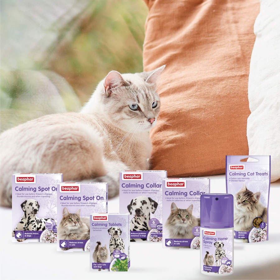 Beaphar No Stress Difusor y Recambio Relajantes para gatos, , large indicador imagen numero 5