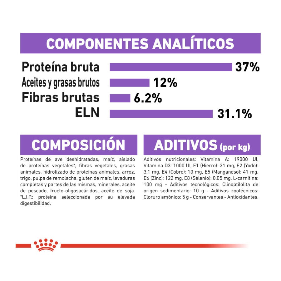 10 kg Royal Canin Regular Sterilised 37 pienso para gatos, , large indicador imagen numero 6