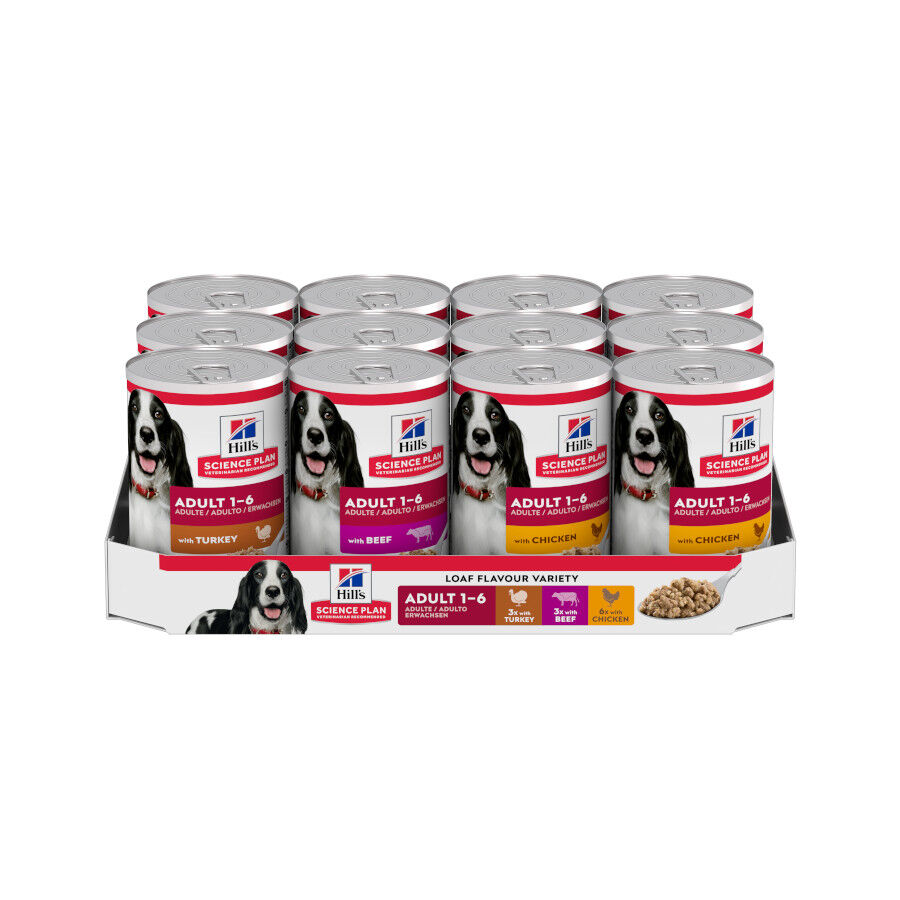 12 latas x 370 g Hill's Science Plan Adult 1-6 Pollo, Pavo y Ternera lata para perros, , large Imagen numero 1