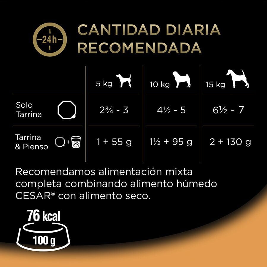 4 tarrinas x 150 g Cesar Recetas de la huerta Tarrina en Pat&eacute; y Gelatina para Perros , , large Imagen numero 3