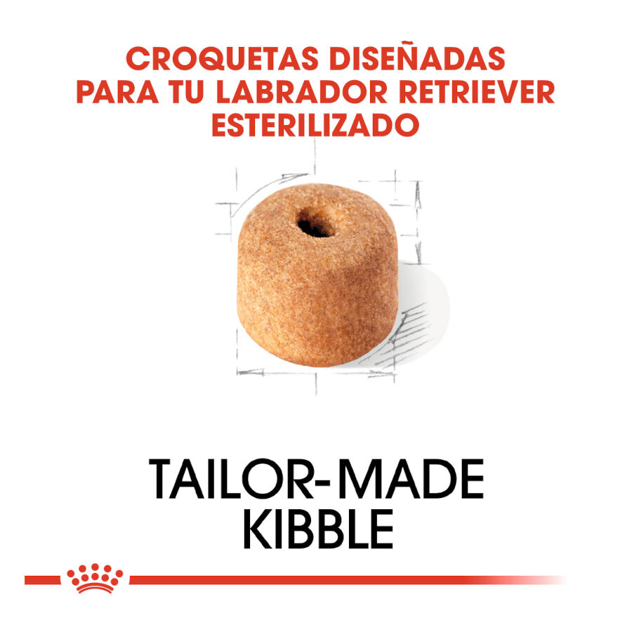 12 kg Royal Canin Adult Labrador Sterilised pienso para perros , , large Imagen numero 5