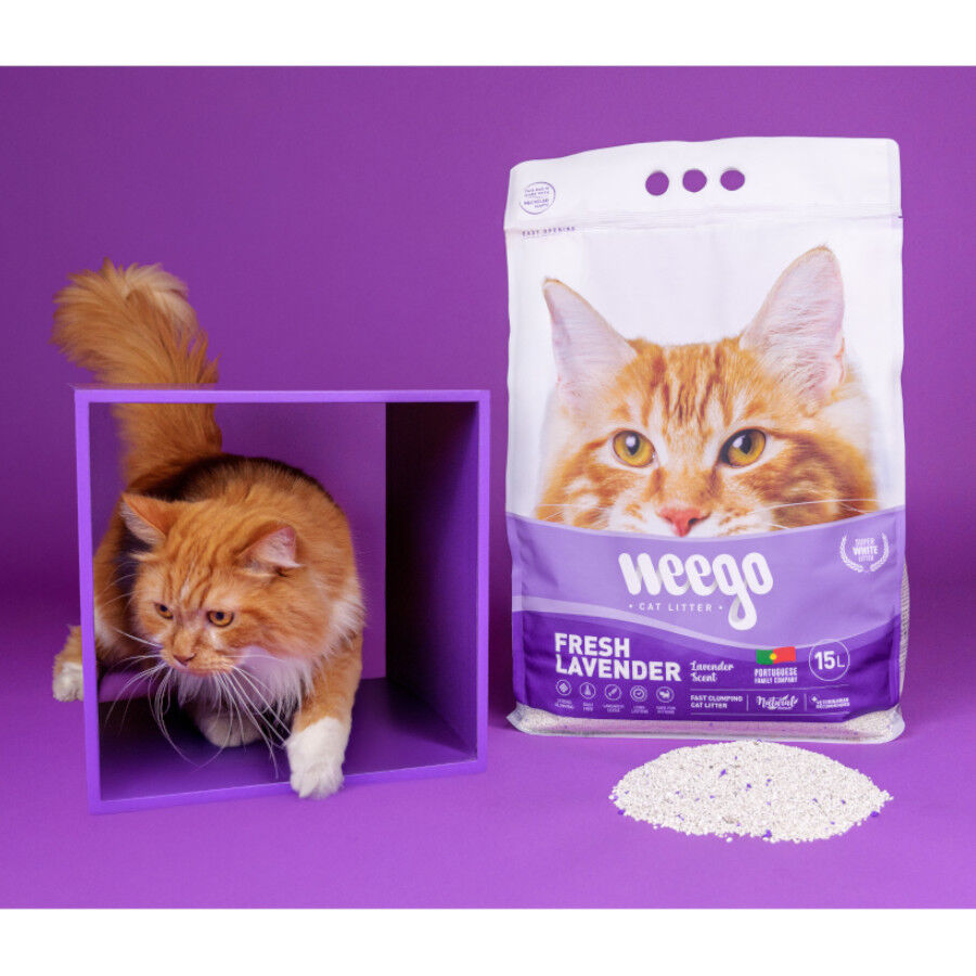 Weego Fresh Lavender Arena Aglomerante para gatos, , large Imagen numero 5