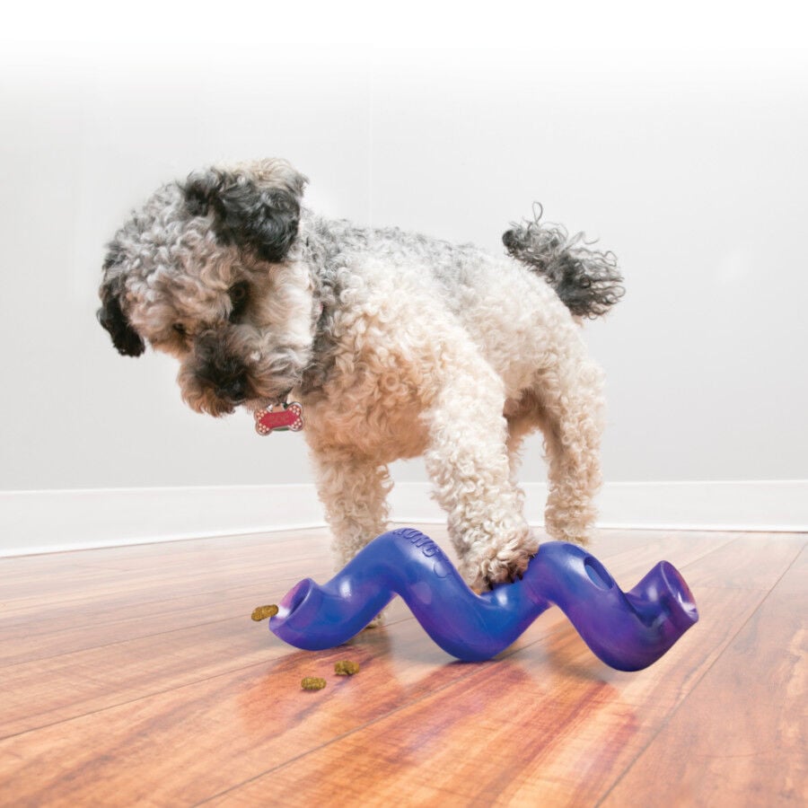 Kong Treat Spiral Stick Portagolosinas para perros, , large indicador imagen numero 2