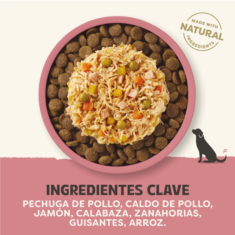 156 g Applaws Taste Toppers Pollo con Jam&oacute;n y Vegetales en Caldo lata para perros, , large indicador imagen numero 3