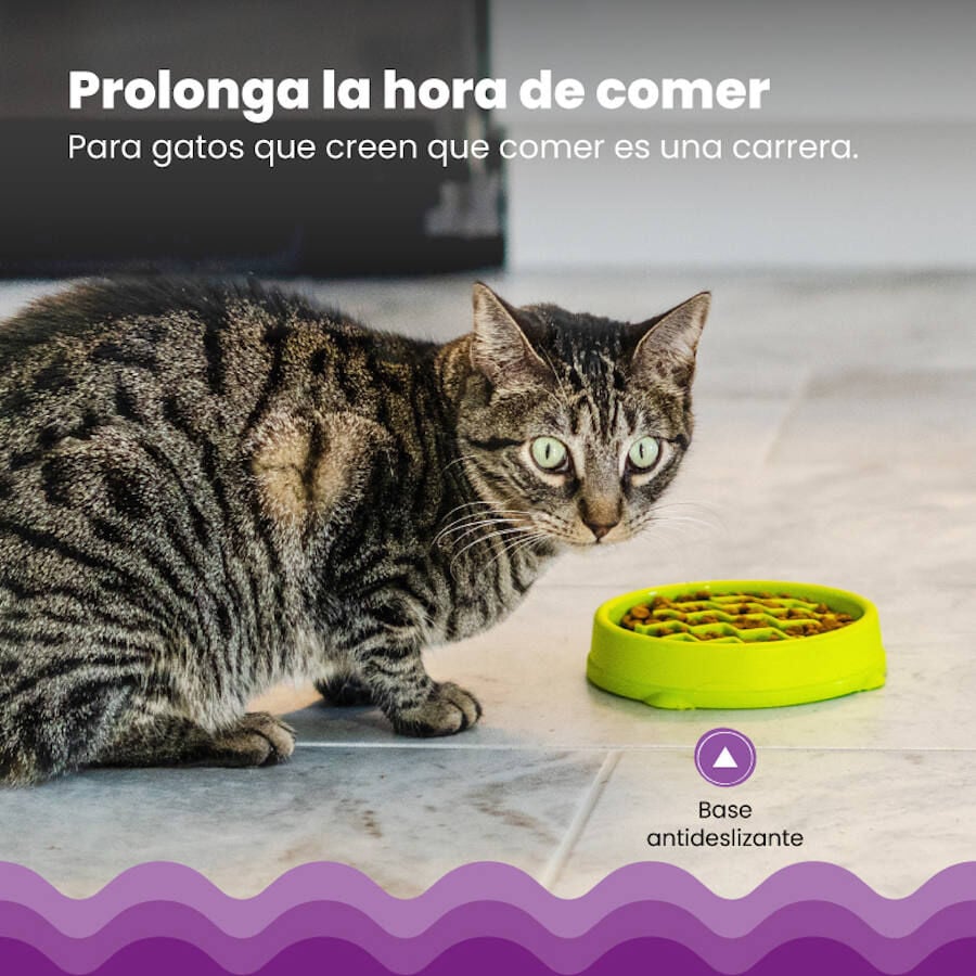 Catstages Cat Fun Comedero Lento Verde para gatos, , large indicador imagen numero 5