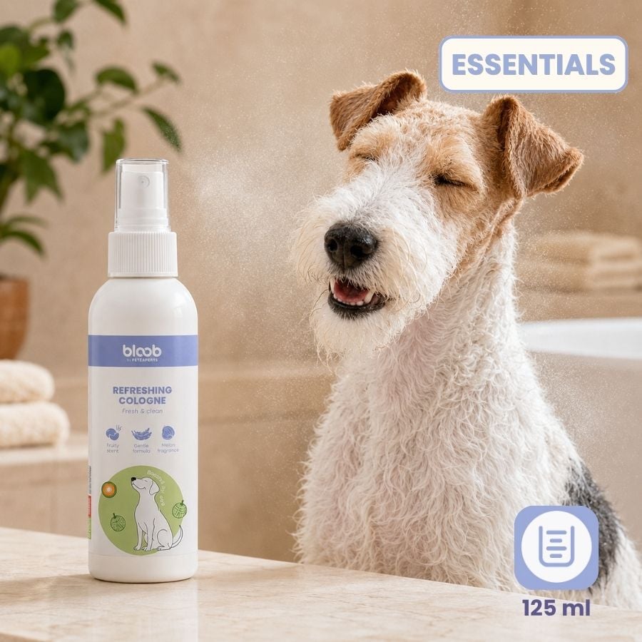 Bloob Colonia Refrescante Mel&oacute;n para perros, , large indicador imagen numero 7