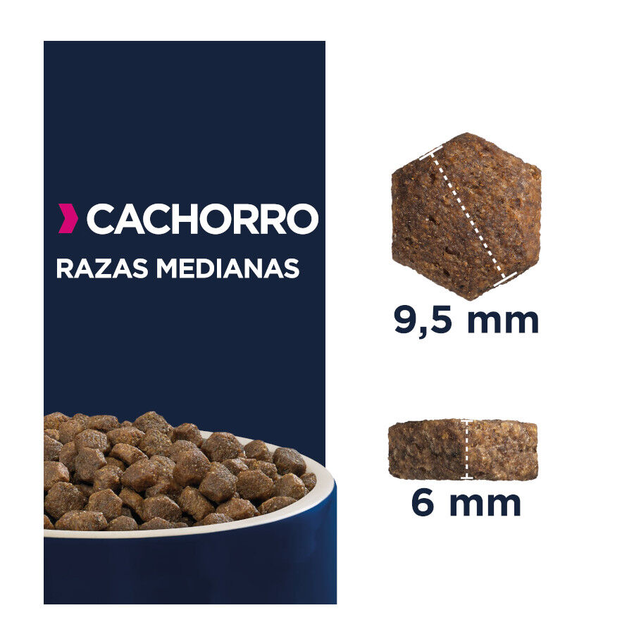 15 kg Eukanuba Puppy Medium Pollo pienso para perros, , large indicador imagen numero 4