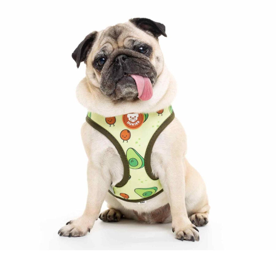 Dukier Avocado Arn&eacute;s Reversible Estampado Aguacate para perros, , large indicador imagen numero 2