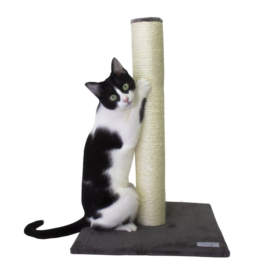 Rascador Catshion Pole Gris varios tama&ntilde;os indicador imagen numero 1