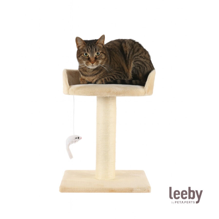 Leeby Tigrou rascador con cama y juguete beige para gatos, , large indicador imagen numero 2