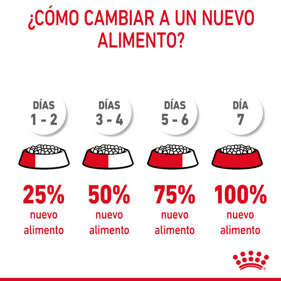 10 kg Royal Canin Intense Hairball pienso para gatos, , large indicador imagen numero 10