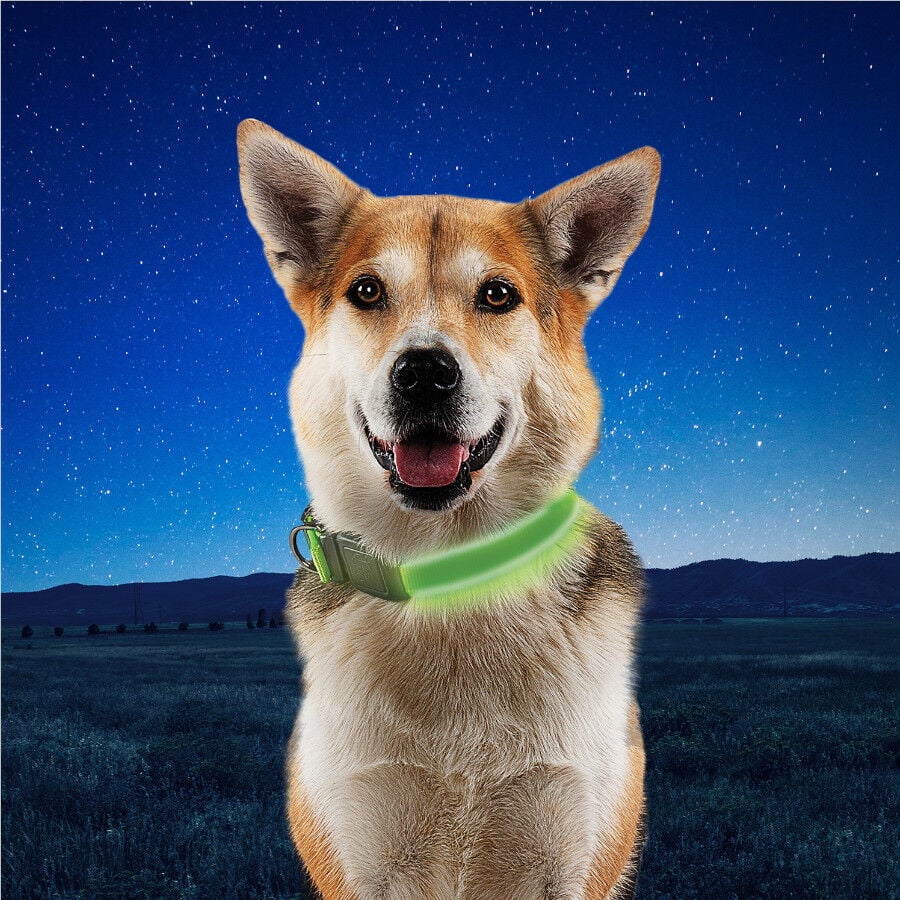 Nite Ize NiteDog Collar Led Recargable Verde para perros, , large Imagen numero 2