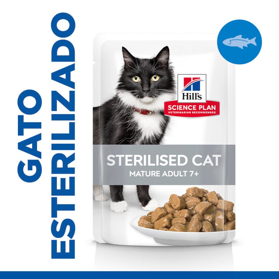 Hill's Science Plan Sterilised Mature Pescado Oce&aacute;nico en Salsa sobre para gatos