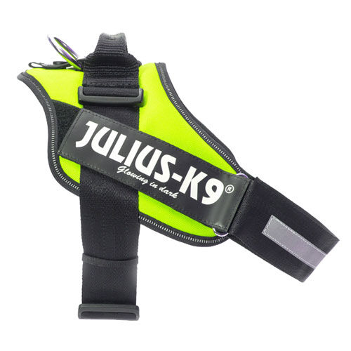 Julius-K9 IDC Arn&eacute;s Ergon&oacute;migo Ne&oacute;n Amarillo para perros