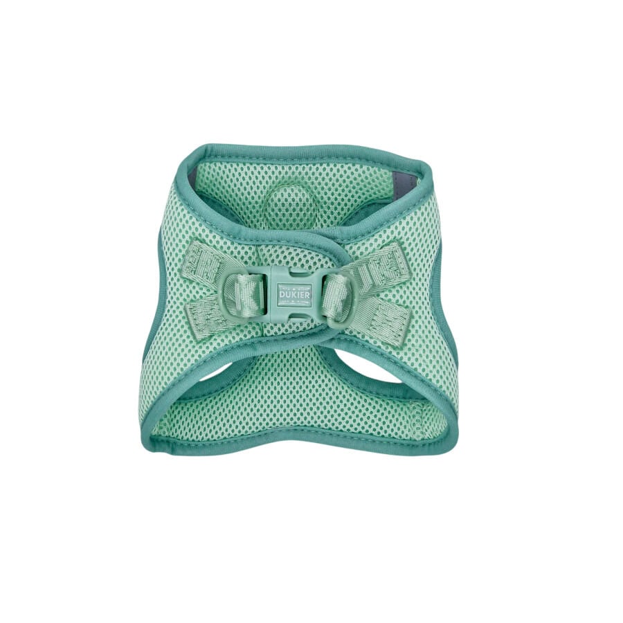 Dukier Body Essential Color Verde para perros, , large indicador imagen numero 3