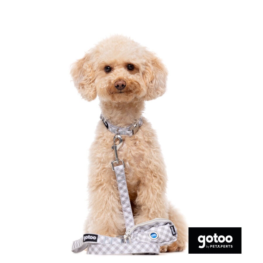 Gotoo Correa estampada cuadro vichy gris para perros, , large indicador imagen numero 3