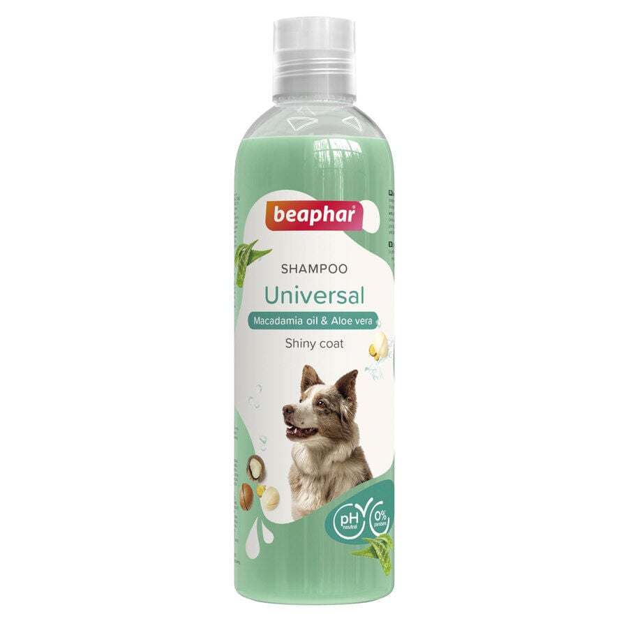 Beaphar Universal Champ&uacute; para perros, , large Imagen numero 1