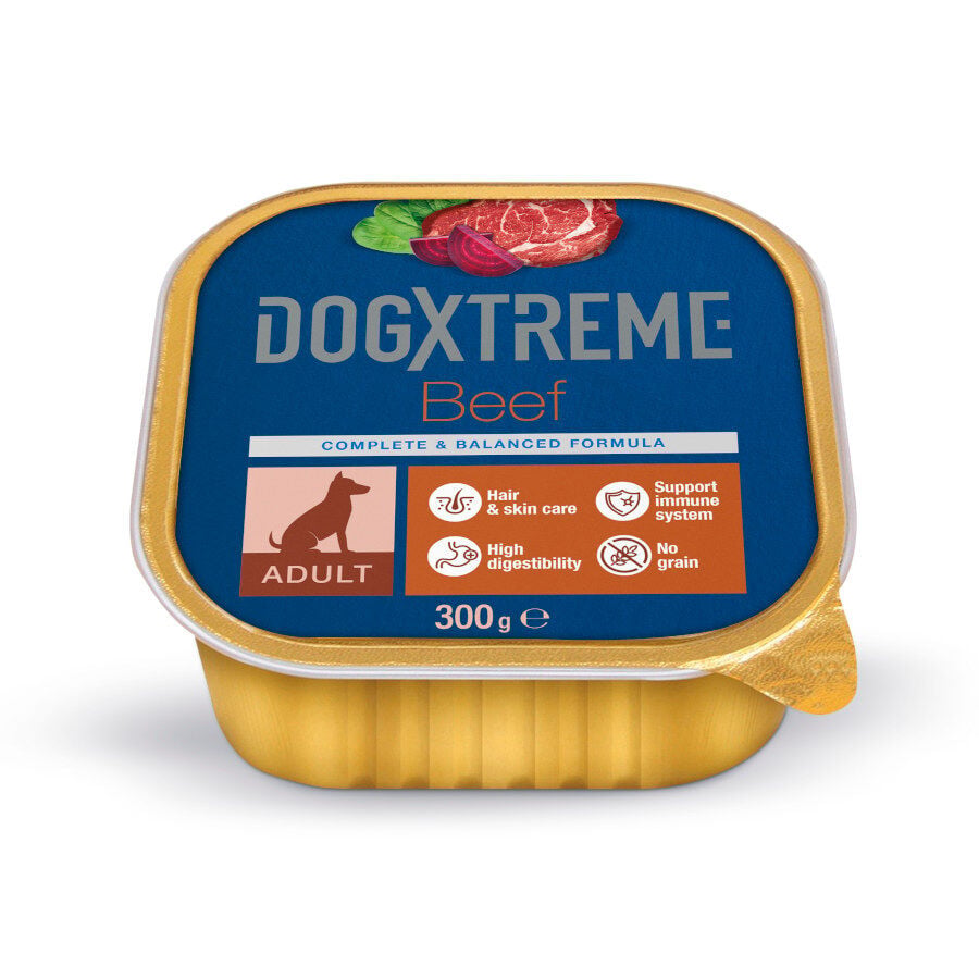 300 g Dogxtreme Adult Buey tarrina para perros, , large Imagen numero 1
