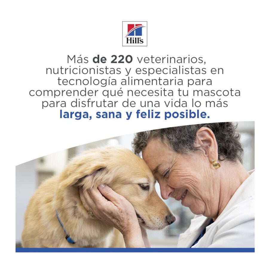 14 kg Hill's Science Plan Hipoalerg&eacute;nico Large Salm&oacute;n pienso para perros, , large indicador imagen numero 8