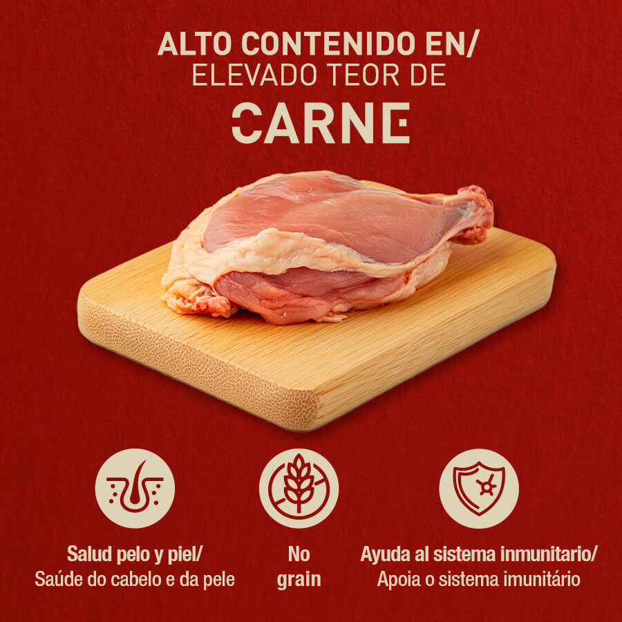 395 g Catxtreme Pavo en pat&eacute; lata para gatos, , large indicador imagen numero 3
