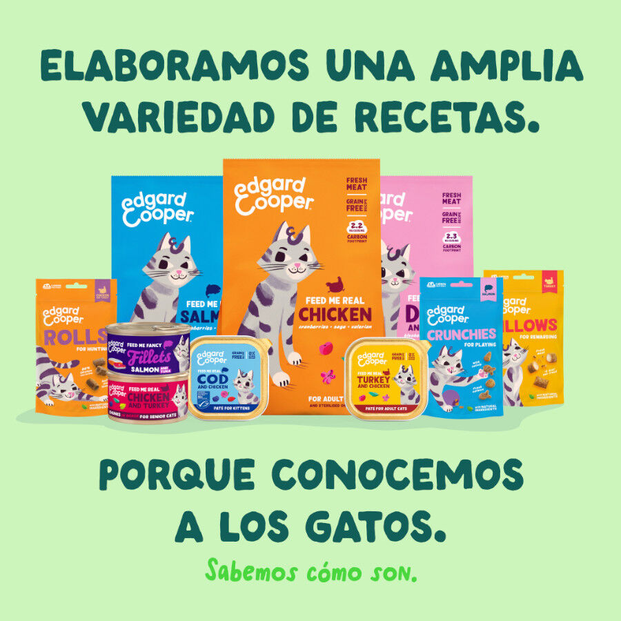 70 g Edgard & Cooper Filetes de Salm&oacute;n y Ceballa Lata para gatos, , large indicador imagen numero 8
