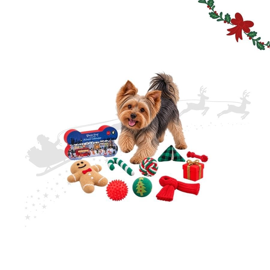 Wonder Christmas Calendario Adviento Premium Juguete para perros, , large indicador imagen numero 1