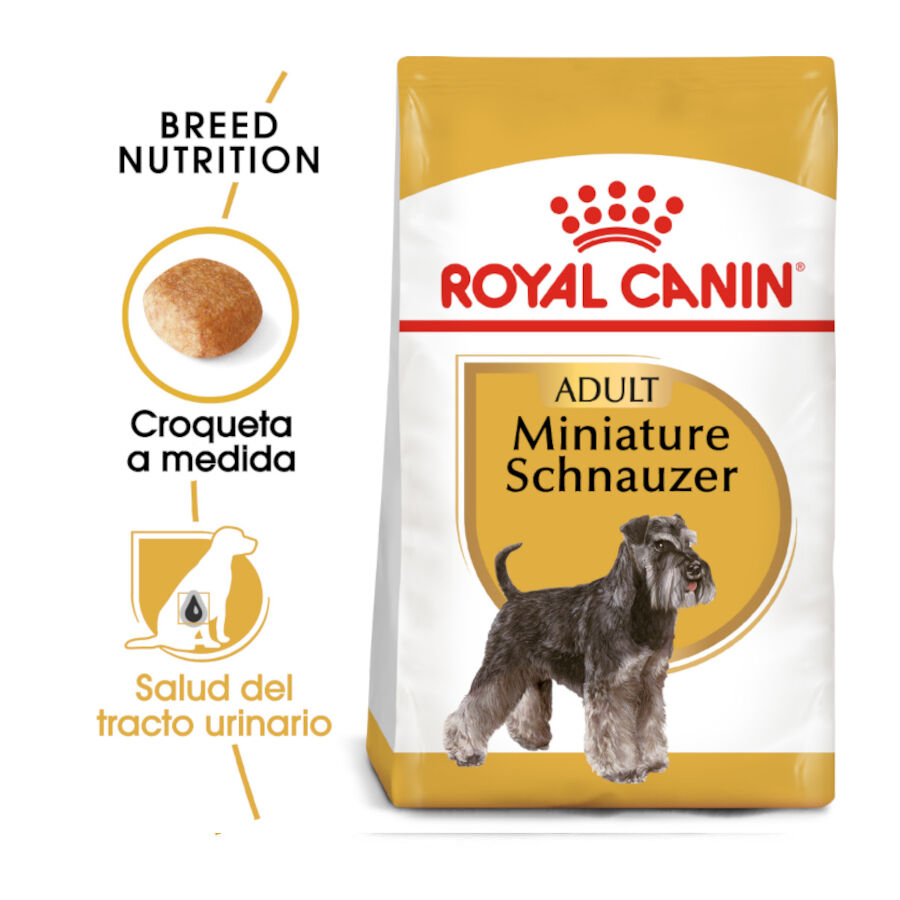 3 kg Royal Canin Adult Miniature Schnauzer pienso para perros, , large Imagen numero 2