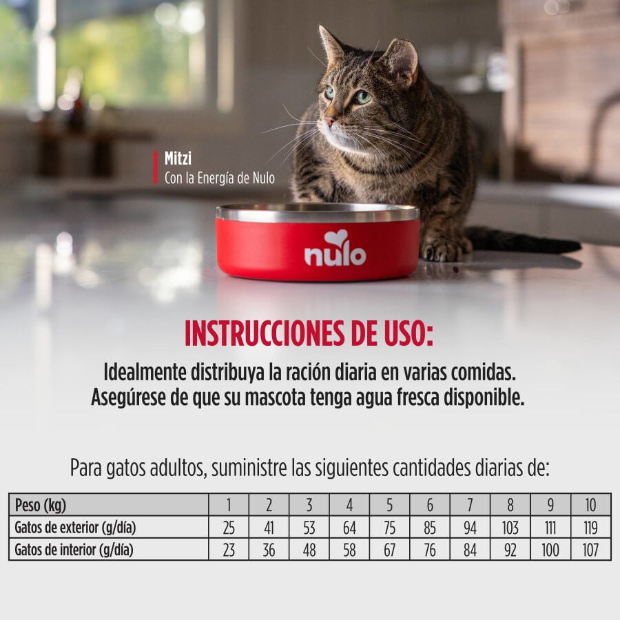 4 kg Nulo Raw Medley Pienso Pavo Pollo y Trucha para gatos, , large indicador imagen numero 3