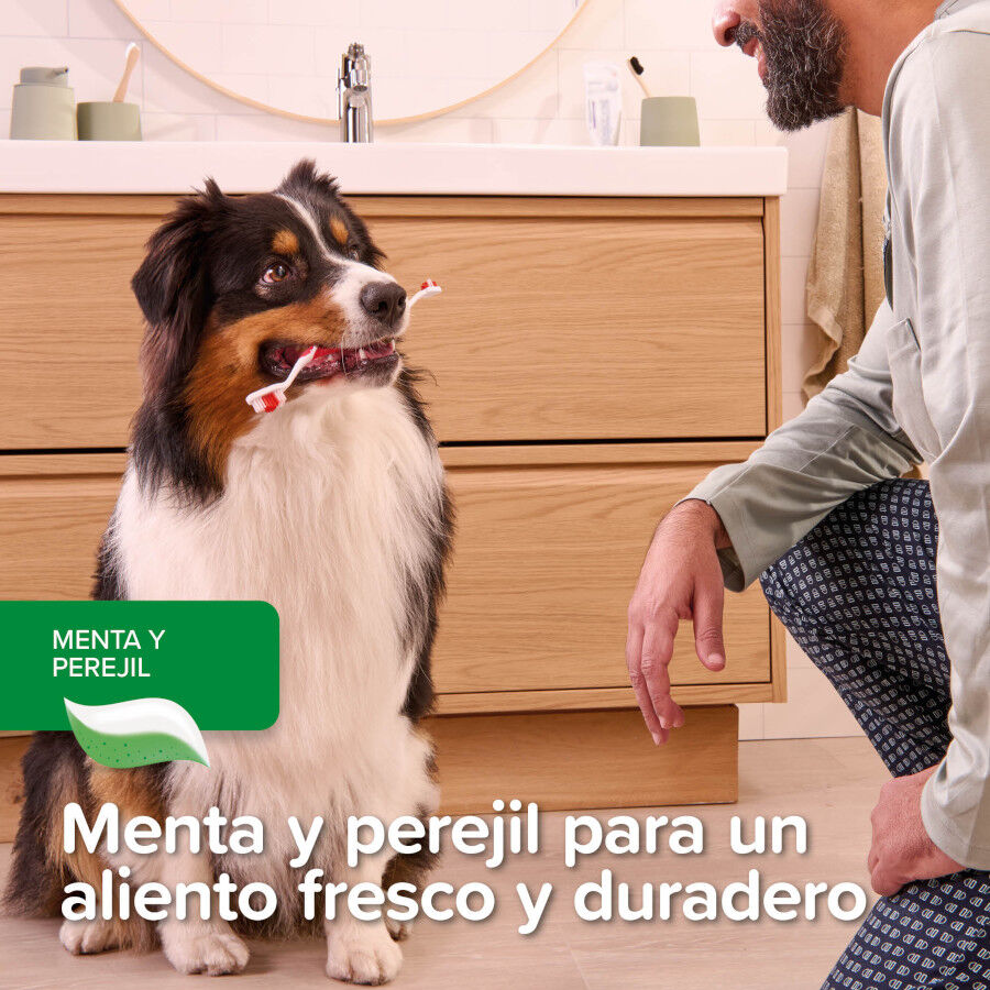 Beaphar Pasta Dental  Menta  Perejil para Perros y Gatos, , large Imagen numero 5