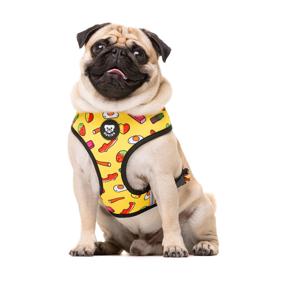 Dukier Sweets Arn&eacute;s reversible para perros, , large indicador imagen numero 2